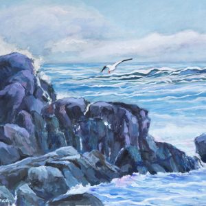 Vast Seas, Boundless Skies